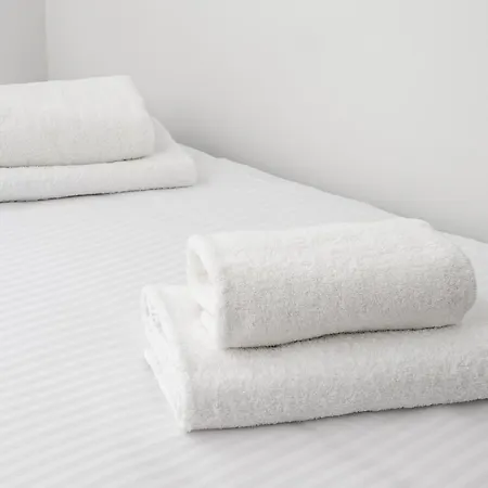 Nowolipki Now & Wow *