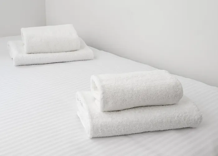 Nowolipki Now & Wow *